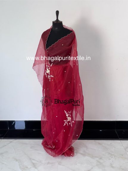 Modern Festive Organza Saree with Hand Embroidery & Beads  With Running Blouse Pcs 1m (Search Code- 1046)